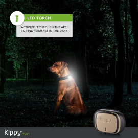 KIPPY EVO : Suivi GPS & Activité pour Animaux