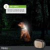 KIPPY EVO, the GPS for your pets