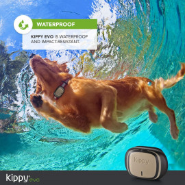 KIPPY EVO : Suivi GPS & Activité pour Animaux