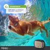 KIPPY EVO, the GPS for your pets