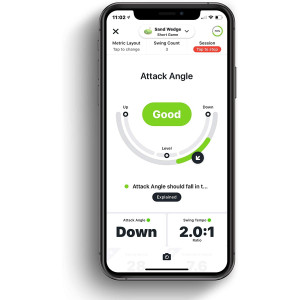 Blast Motion, for a perfect swing
