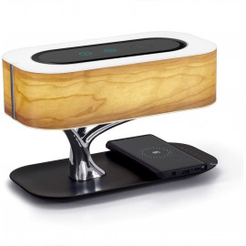 Lampe Masdio: Bluetooth, Charge Sans Fil Tout-en-Un