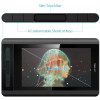 XP-Pen Artist 12, the graphics tablet