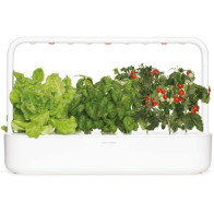 Hydroponics Indoor Garden: Grow Fresh Produce at Home