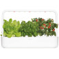 Jardin dIntérieur Hydroponique Click & Grow: Cultivez Facilement Vos Herbes et Légumes Frais!
