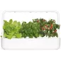 Jardin dIntérieur Hydroponique Click & Grow: Cultivez Facilement Vos Herbes et Légumes Frais!