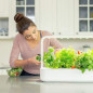 Jardin dIntérieur Hydroponique Click & Grow: Cultivez Facilement Vos Herbes et Légumes Frais!