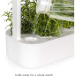 Jardin dIntérieur Hydroponique Click & Grow: Cultivez Facilement Vos Herbes et Légumes Frais!
