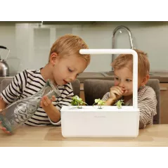 Click & Grow Smart Garden 3: Cultivez Facilement Herbes et Légumes Frais Chez Vous!