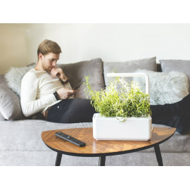Grow Fresh Indoors with Click & Grow Smart Garden