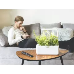 Smart Garden 3, pour jardiner en intérieur