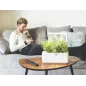 Click & Grow Smart Garden 3: Cultivez Facilement Herbes et Légumes Frais Chez Vous!