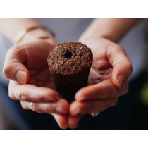 Smart Garden 3, pour jardiner en intérieur