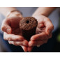 Click & Grow Smart Garden 3: Cultivez Facilement Herbes et Légumes Frais Chez Vous!