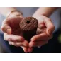 Click & Grow Smart Garden 3: Cultivez Facilement Herbes et Légumes Frais Chez Vous!