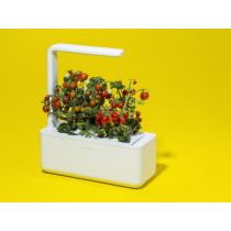 Smart Garden 3, pour jardiner en intérieur