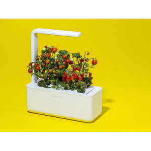 Smart Garden 3, pour jardiner en intérieur