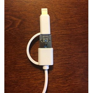 White teeth global, le blanchisseur de dent