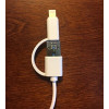 White teeth global, the tooth whitener