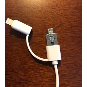 White teeth global, le blanchisseur de dent