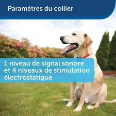 PetSafe fence, la clôture invisible pour animaux de compagnie