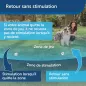 Clôture Sans Fil PetSafe: Liberté Sécurisée pour Votre Chien, Installation Facile!