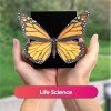 Merge Cube 2 Pack, learn with 3D digital objects