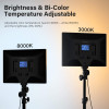 Dazzne D50, improve the brightness of your studio