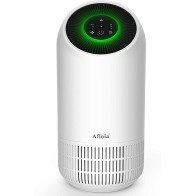 HEPA Air Purifier for Homes - Clean Air & Allergy Relief