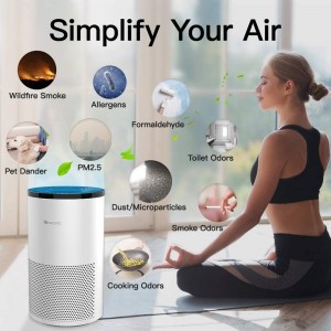 Proscenic A8, simplify your air