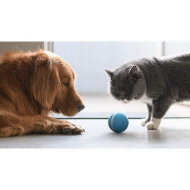 Sikoon Wicked Ball: Endless Fun for Pets