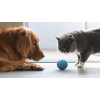 Sikoon Wicked Ball, the magic ball for your pets