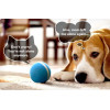 Sikoon Wicked Ball, the magic ball for your pets