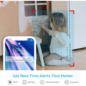 Reolink E1 Pro, the pack of 2 cameras