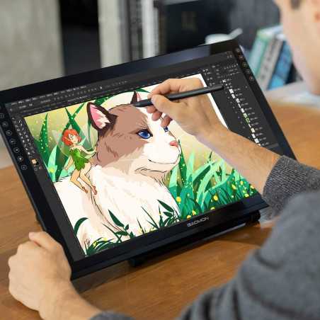 GAOMON PD2200, the graphics tablet