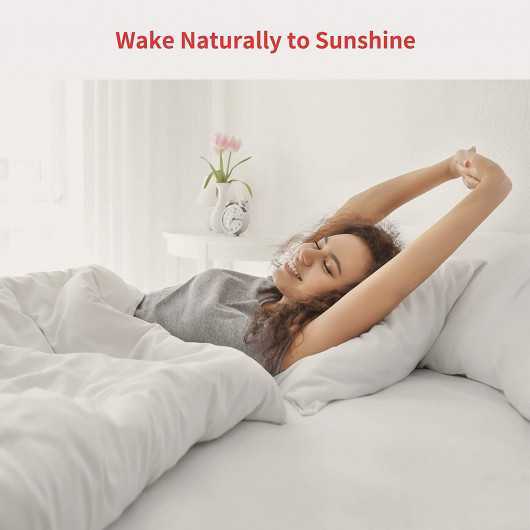 SwitchBot Curtain, make your curtains smart