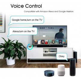 MOES Smart IR Hub : Télécommande Universelle Activée par la Voix