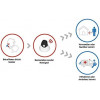 AMG, an emergency call system for the elderly