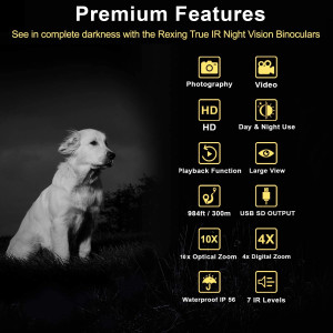 REXING B1, mieux voir la nuit