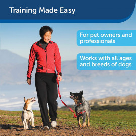 PetSafe Remote Trainer - Positive Training Reinforcement
