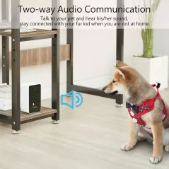 Iseebiz Pet Cam, la caméra distributeur