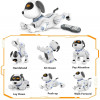 Okk, the interactive robot dog