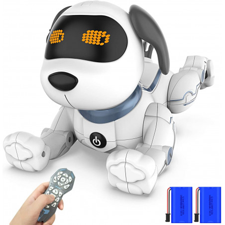 Okk, the interactive robot dog