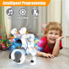 Okk, the interactive robot dog