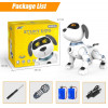 Okk, the interactive robot dog