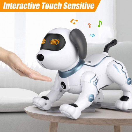 Okk, the interactive robot dog
