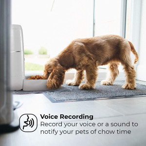 Home Zone 6l, the automatic feeder