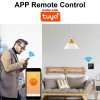 Ketotek WiFi Thermostat, the programmable thermostat