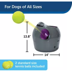 Lanceur de Balles Automatique PetSafe : LAmi Infatigable de Votre Chien !