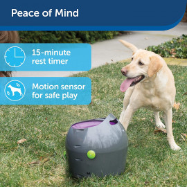 PetSafe ZTY00: The Ultimate Automatic Ball Launcher | Shop Now